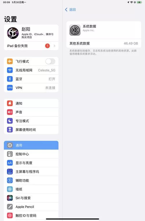 教你快速清理iPad内存：释放空间，告别存储不足烦恼