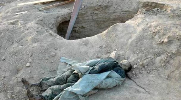 4800万年前的僵尸真菌：远古真菌如何操纵蚂蚁？