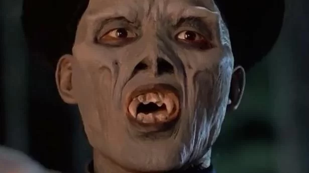 4800万年前的僵尸真菌：远古真菌如何操纵蚂蚁？