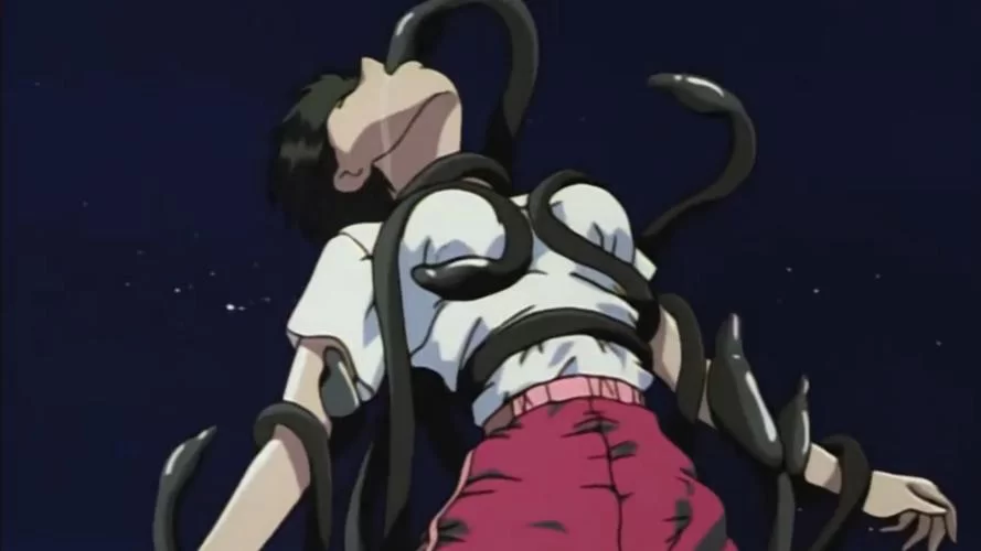 超多触手图楼资源：满足你的一切视觉需求