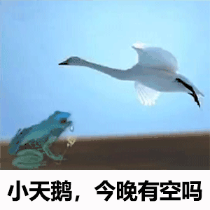 小天鹅今晚有空吗图片表情包，教你快速保存到手机！