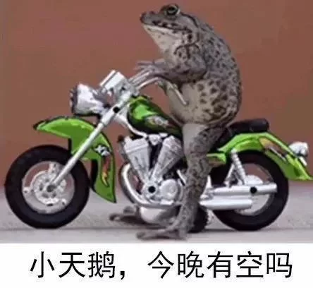 小天鹅今晚有空吗图片表情包，教你快速保存到手机！