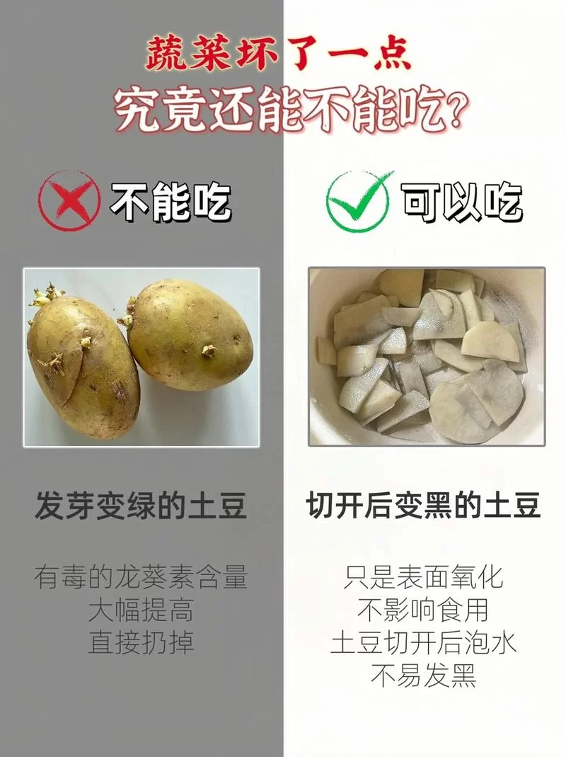 土豆发芽后还能食用吗？蚂蚁庄园正确答案是？