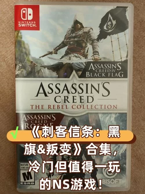 刺客信条1字幕设置指南：简单几步开启游戏字幕