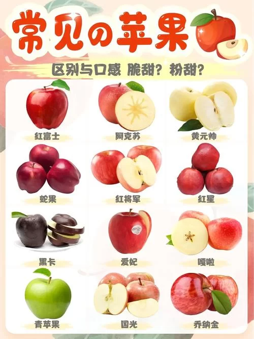 超可爱的苹果！教你挑选又甜又好吃的苹果