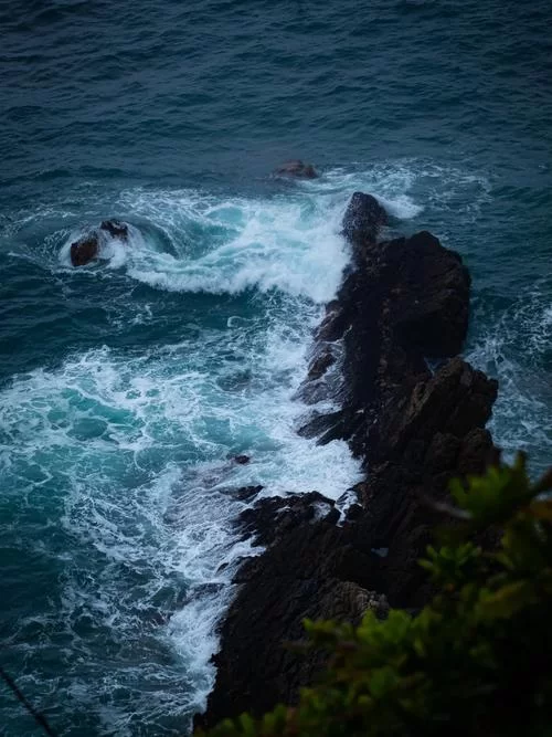 DE下载平台推荐：海量资源，一键下载