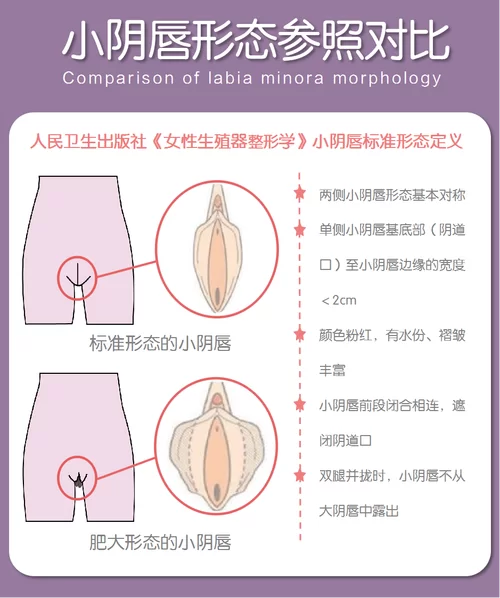 隐秘是什么意思？轻松掌握隐秘的含义和近义词