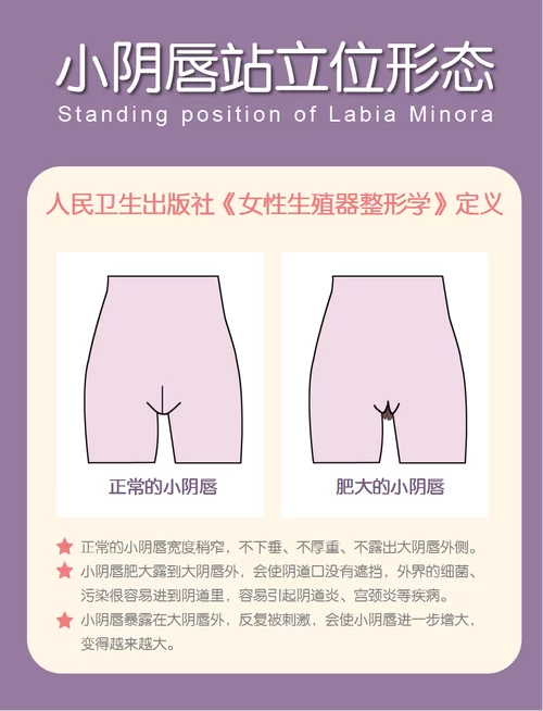 隐秘是什么意思？轻松掌握隐秘的含义和近义词