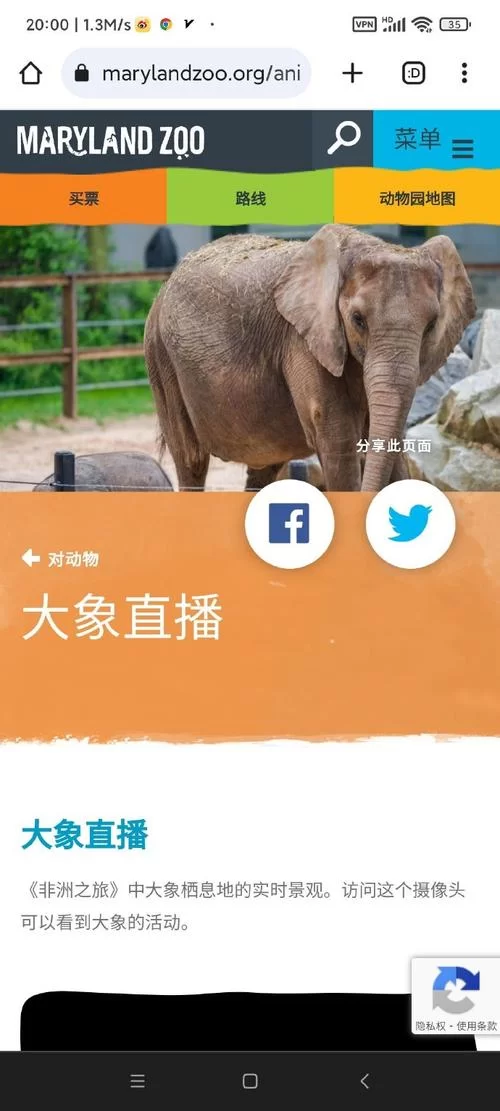 大象直播最新版更新，体验更流畅稳定