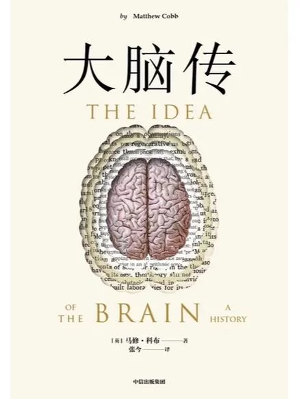 PersonalBrain思维导图软件：高效管理你的想法
