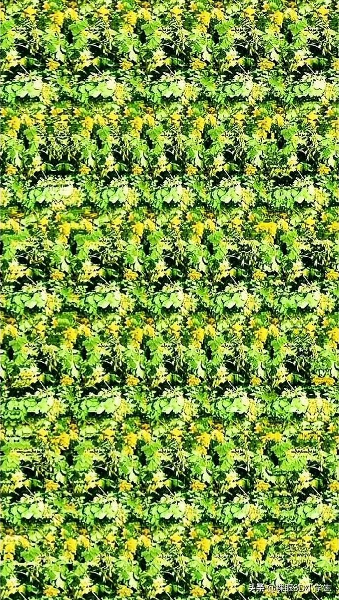 三维立体图像欣赏指南：从入门到精通的完整教程