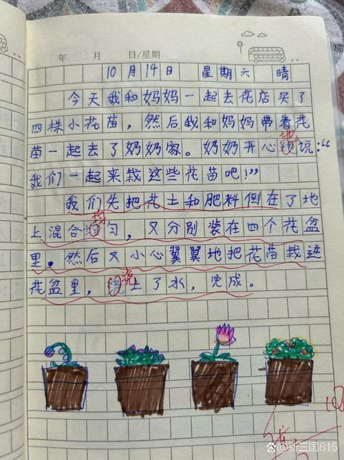 用图片写日记：记录生活的美好瞬间