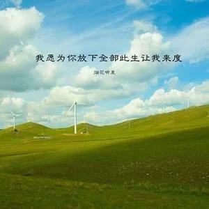 为你放下全部此生：让我来渡你，跨越所有阻碍