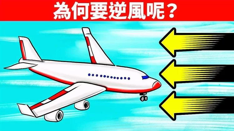 飞机起飞降落时顺风逆风哪个更安全？专业解答来了