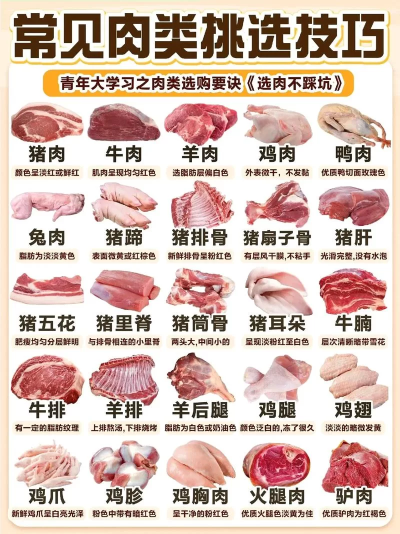 日常生活中，哪种肉类属于我们通常所说的白肉？
