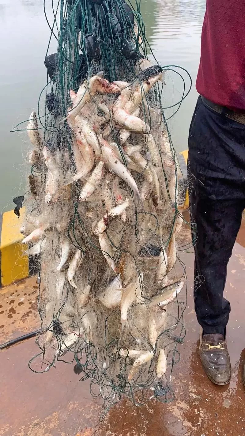2023最新手机打鱼游戏推荐：画面精美，玩法丰富