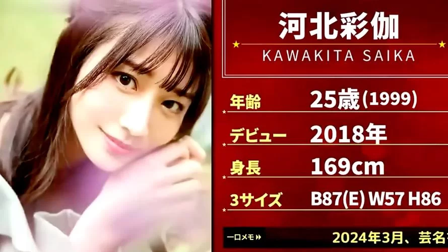 2013AV排行榜Top10：看看你认识几个？