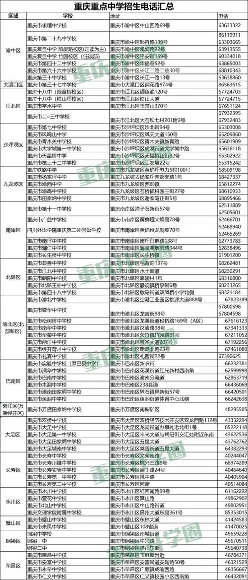 重庆政府网怎么查信息？手把手教你快速查询！