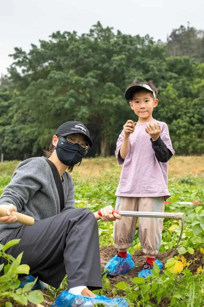 西伯利亚挖土豆赚钱吗？听听当地老农怎么说！