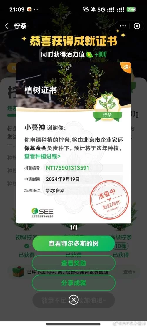 蚂蚁森林今日答案在哪看？这几个方法让你轻松找到！