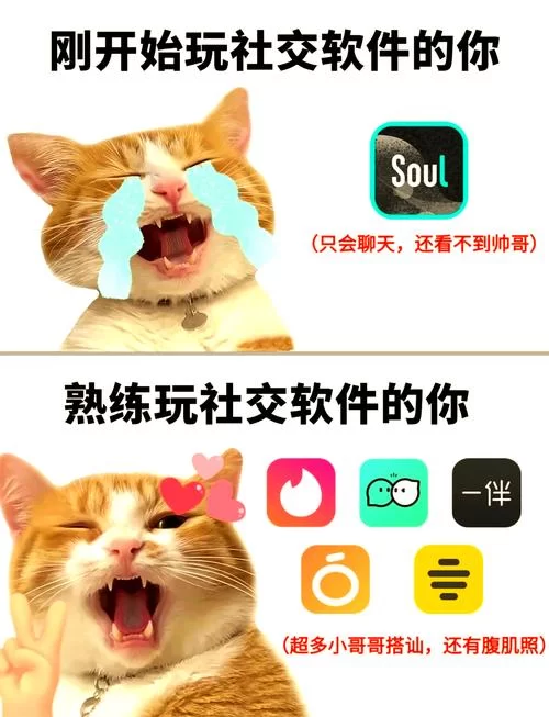 开放的社交app怎么玩？老司机带你解锁新姿势！
