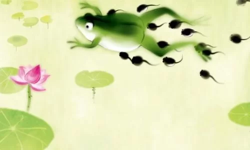 想找小蝌蚪网站？这几个地方让你一次看个够！