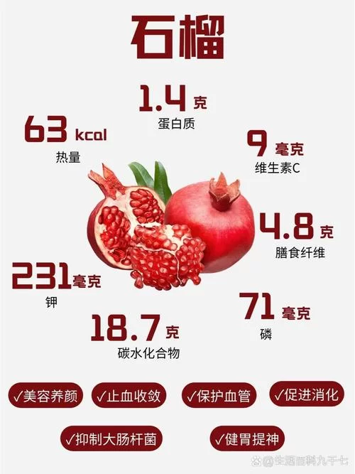 石榴安卓版下载：最新官方版免费安装教程！