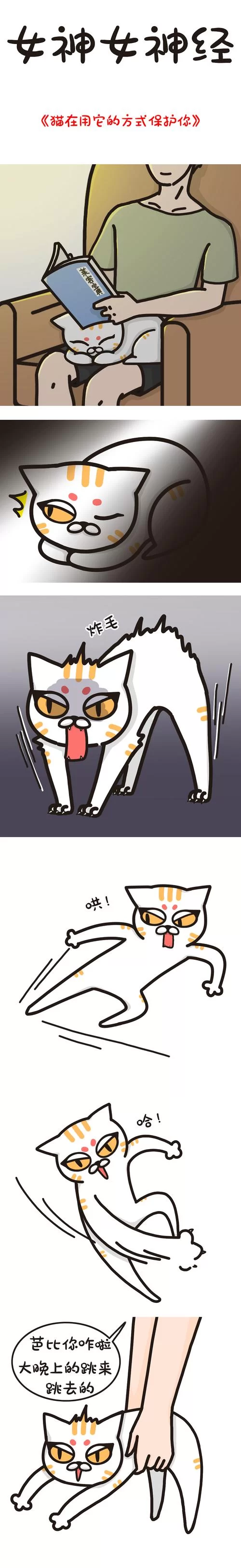 漫猫动漫怎么看不了？这几个方法或许能帮到你！