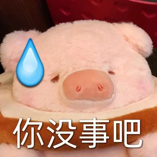 猪猪表情包合集来啦！各种类型这里都有快来！