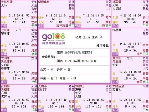 文墨天机紫微斗数app下载：超准算命app免费下载！
