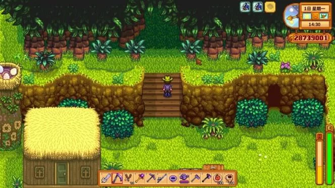 星露谷物语姜岛金核桃怎么收集？看这篇就够了！