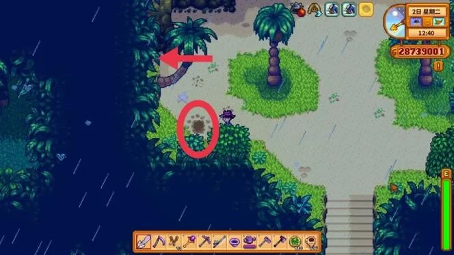 星露谷物语姜岛金核桃怎么收集？看这篇就够了！