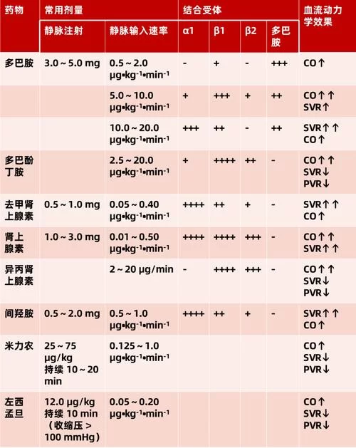 缺氧攻略哪个版本好用?实测对比分析! 缺氧攻略哪个版本好用?实测对比分析!
