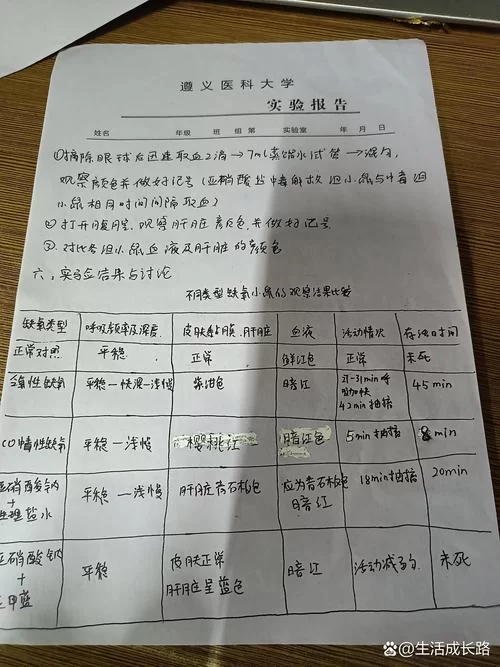 缺氧攻略哪个版本好用?实测对比分析! 缺氧攻略哪个版本好用?实测对比分析!