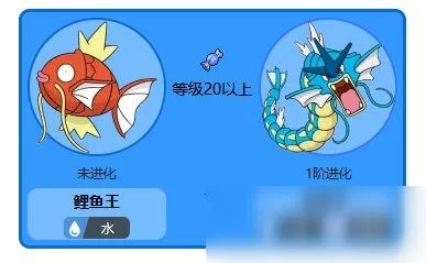 鲤鱼王几级进化成暴鲤龙?快速升级攻略分享! 鲤鱼王几级进化成暴鲤龙?快速升级攻略分享!