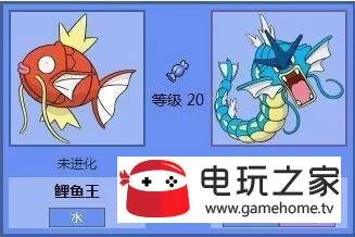 鲤鱼王几级进化成暴鲤龙?快速升级攻略分享! 鲤鱼王几级进化成暴鲤龙?快速升级攻略分享!