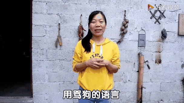 想知道狗狗说什么?狗语翻译器在线使用帮你忙! 想知道狗狗说什么?狗语翻译器在线使用帮你忙!