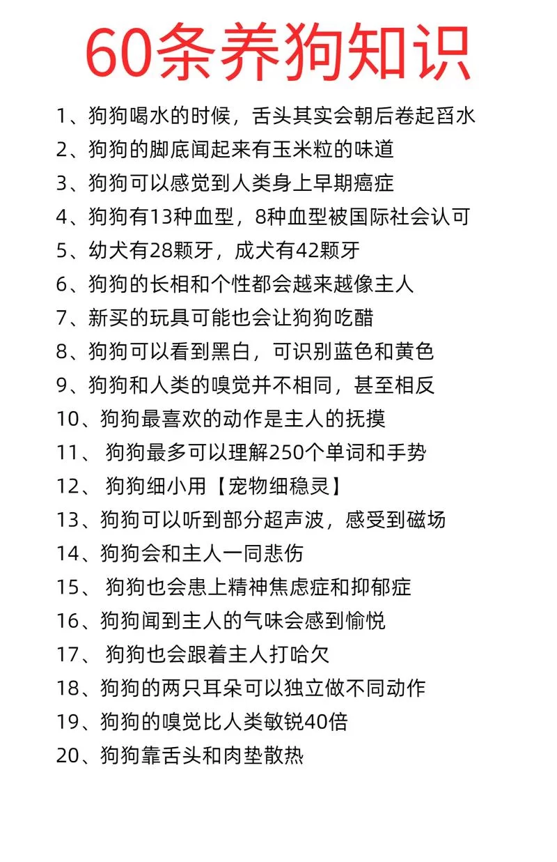 想知道狗狗说什么?狗语翻译器在线使用帮你忙! 想知道狗狗说什么?狗语翻译器在线使用帮你忙!