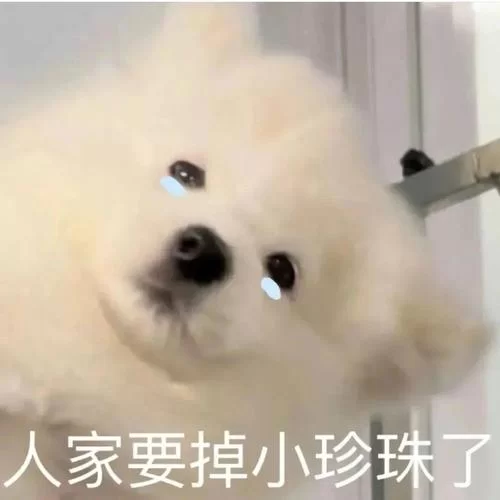 狗表情包哪里找?这几个网站让你一次性存个够! 狗表情包哪里找?这几个网站让你一次性存个够!