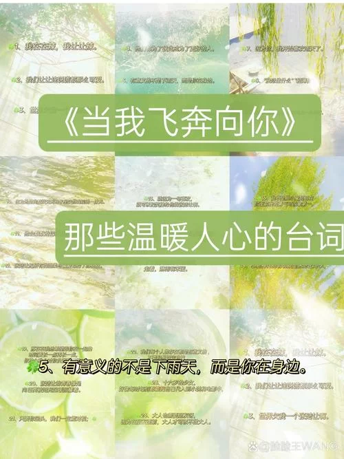 我跌跌撞撞奔向你：即便受伤，也要勇敢追逐爱！