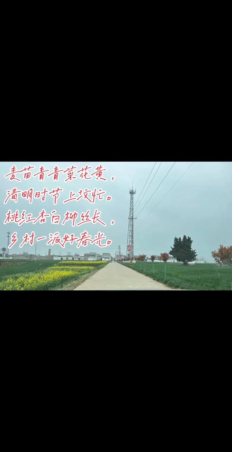 红杏泄春光讲的是啥？这篇文章用大白话解读！