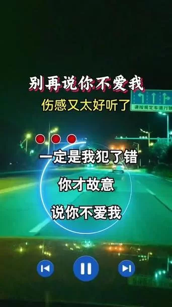 这首你说不会在爱情里犯错太好哭了，你听过吗？