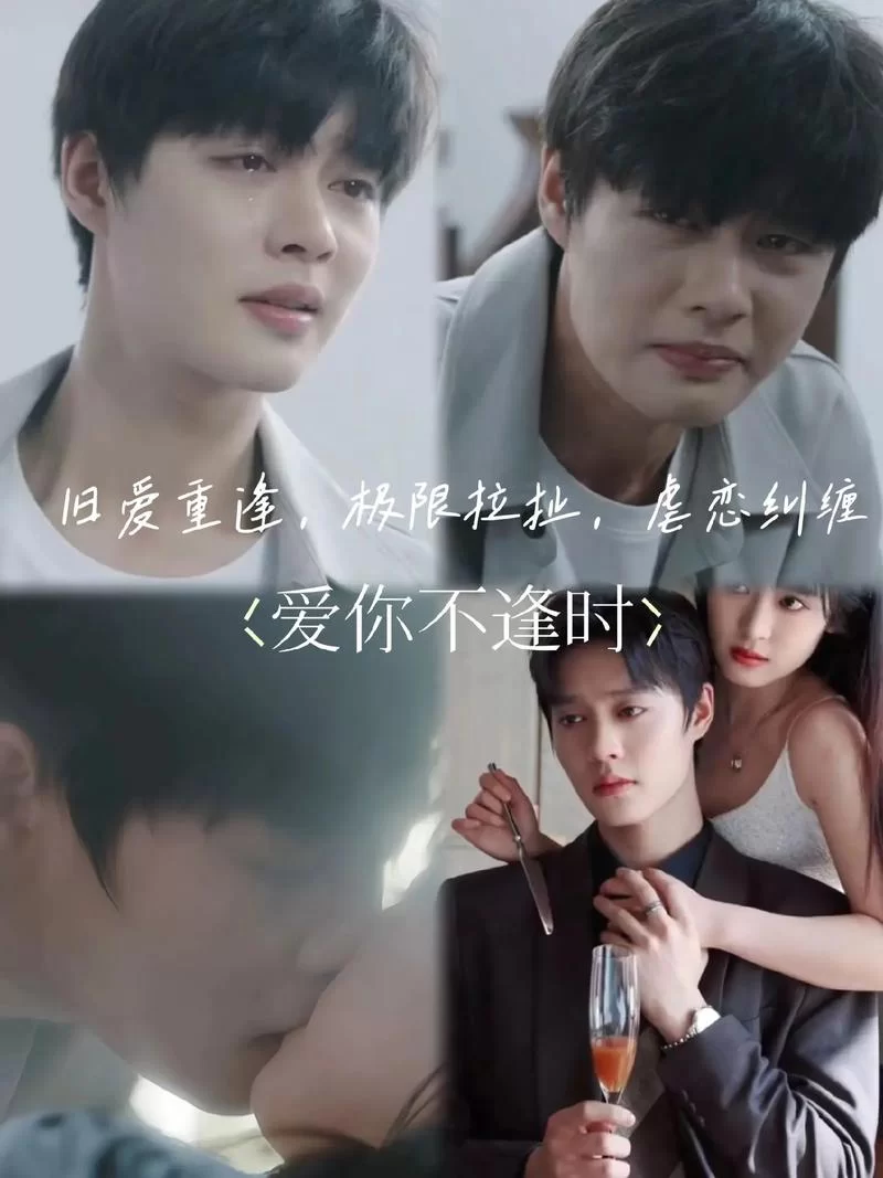 这首你说不会在爱情里犯错太好哭了，你听过吗？