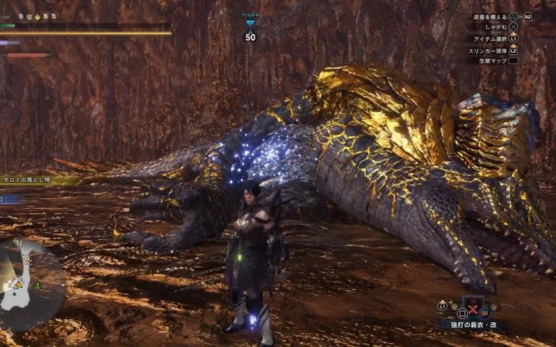 怪物猎人世界绚辉龙弱点在哪？看完这篇你就懂了！