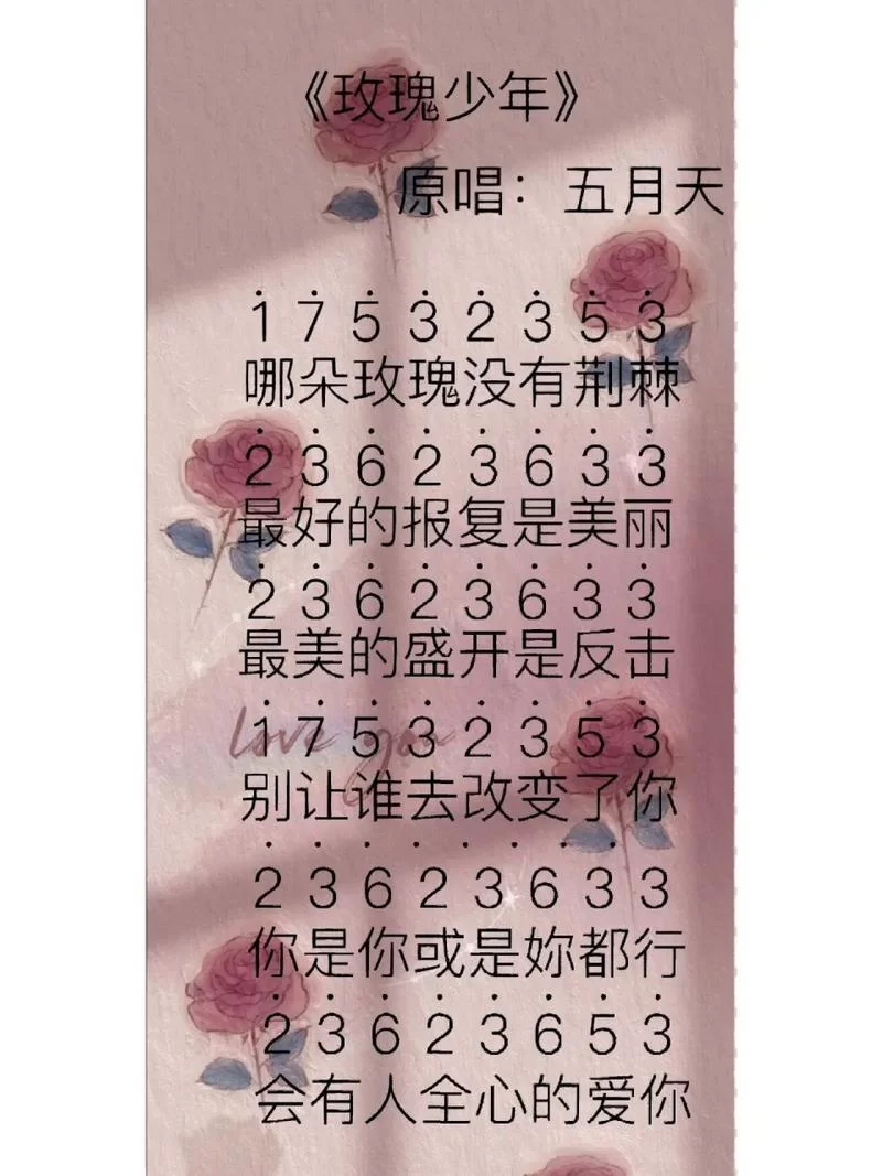 玫瑰少年歌词讲了什么故事？这些句子感动了无数人！