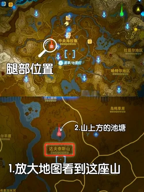找不到塞尔达鼓隆城？这篇攻略帮你快速定位！