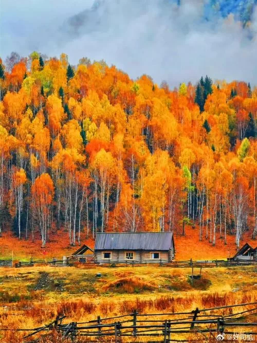 金秋送爽正当时！这几个地方美得像油画！