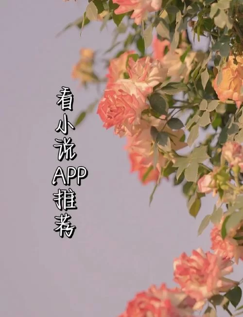 笔趣阁app免费吗？热门小说资源能不能畅快看？