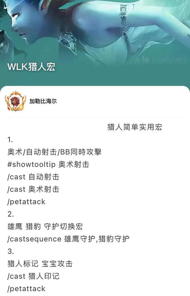魔兽世界宏哪个好用?高玩推荐必备的几个宏! 魔兽世界宏哪个好用?高玩推荐必备的几个宏!