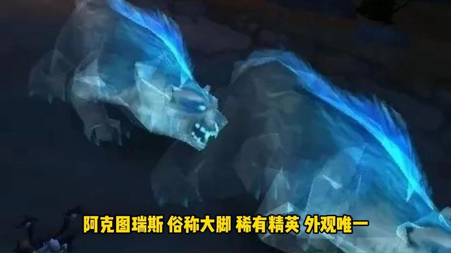 阿克图瑞斯亮不亮？这篇文章告诉你真相！